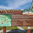 지수초등학교 이미지