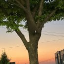 꼬지와친구들 이미지