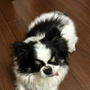 뽑기짱ZONE 이미지