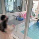 어느 예쁜 날 풀빌라 | 경주 키즈풀빌라 고민된다면 가성비 독채경주 어느예쁜날 숙소 추천