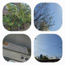 수납 전문가 2급 B 이미지