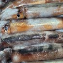 오징어 알멍게 바지락 생굴 산낙지 자연산톳 자연산미역 이미지