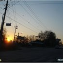 송학초등학교 앞 이미지