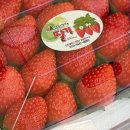 한샘농장 이미지