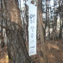 초계우체국 티스토리