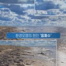 비율종합건축사사무소
