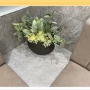 임학한의원 이미지