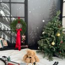 작은안나의집 | 아기 성장앨범 : 무무스튜디오 서울점 100일 촬영 후기(크리스마스 new 컨셉❤, 안나의 집)