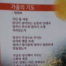 신신농장 티스토리