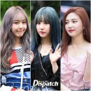 컬러풀헤어 이미지