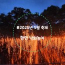 우리 집 내 손으로 명당 만들기 | [경남 함안]2025 낙화놀이, 비바람몰아친 날 축제 후기 준비물 예약팁 명당자리