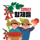 형제야채과일