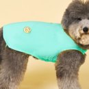 도그엔젤 이미지