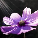 공단로-4 이미지