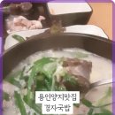 양지