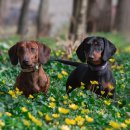 한양스크린골프장(스크린) 이미지