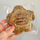 경기도 수원시 장안구 창훈로29번길 | 수원 연무동 디저트 카페 쿠키쿠 메뉴 주차 두쫀쿠