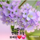 마루아라 하우스 이미지