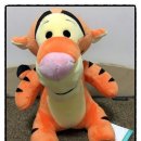 행복한 냥이네 이미지