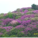 호계1동 주민센터 앞 이미지