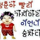 지베