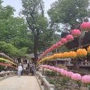 마곡사관광지 이미지