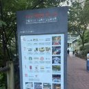 (주)젤리버스 | 남산타워 순환버스와 엔그릴, 불꽃축제까지 즐길 수 있는 꿀팁