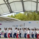 바른태권도 체육관 이미지