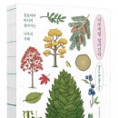 비상청춘 이미지