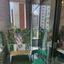 에스헤어 이미지