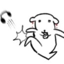 실다