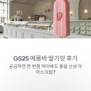 GS25 이천희한 | GS25 메롱바 딸기맛 후기, 궁금하면 한 번쯤 먹어봐도 좋을 신상 아이스크림?