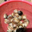 영광숙박 이미지