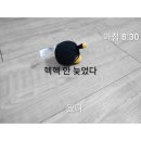 버드들 이미지