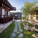 스테이 소이 이미지