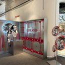 (주)한국와코루 현대본점 와코루 | 서울 핫플레이스 더현대팝업 비나이다 AI사주 관상까지