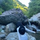 (유)쉐보레 나운바로 서비스 | [2024 블로그챌린지] 영원히 휴가가 끝나지 않았으면
