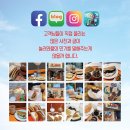 놀러와플