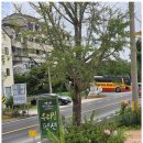 우리집펜션 이미지