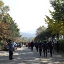 고려대학교 덕소농장 이미지