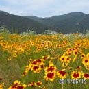 만리장성 이미지