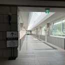 드래곤노래연습장 이미지