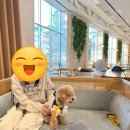 pet24라9602 | 애견동반 경주 숙소 추천 : 경주 키녹 펫 호텔 조식, 펫파크, 스니프카페 후기