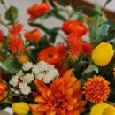 소극장 존 이미지