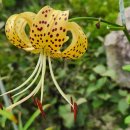 단지골 농장 이미지