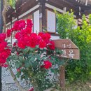 한옥펜션 이미지