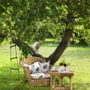 자연과함께 이미지