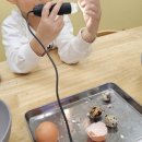 동탄 엄마 필독! 와이키즈 창의력 폭발 과학수업 후기 (달걀+타조알 체험)_동탄1 센타