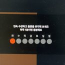 대룡목장 | [일상] 7월 #2 여름맛