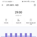 49돼지 이미지